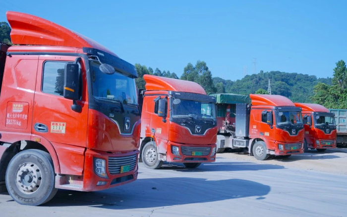 零碳先鋒 | 百臺徐工新能源助力福建客戶成功創(chuàng)富！