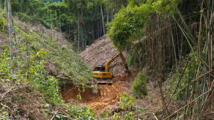 林間“藏龍”，竹?！芭P虎”——徐工林業(yè)挖機(jī)廣西俠客行
